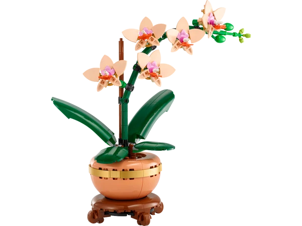 Mini-orkidé