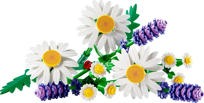 Margueritter (11508)
