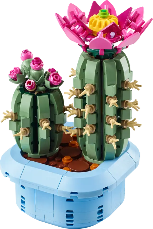 Blomstrende kaktus (11509)