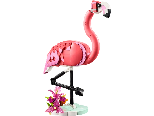 Vilde dyr: Pink flamingo