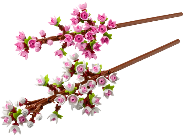 kirsebærblomster