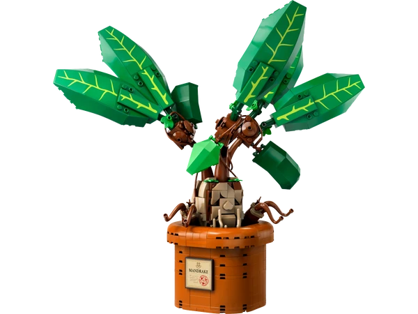 Mandrake