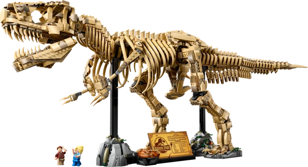 Dinosaurfossiler: Tyrannosaurus rex
