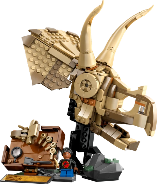 Dinosaurfossiler: Triceratops-kranium