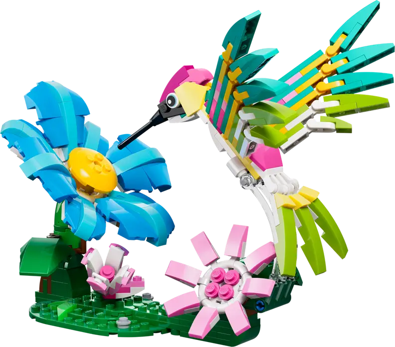 Vilde dyr: Farverig kolibri (31384)