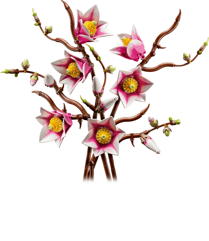 Magnolia-grene (11510)