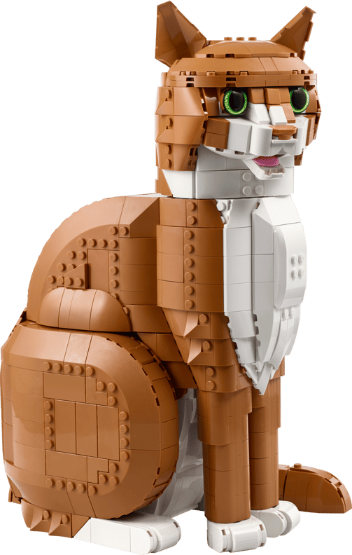 Orange kat (21376)