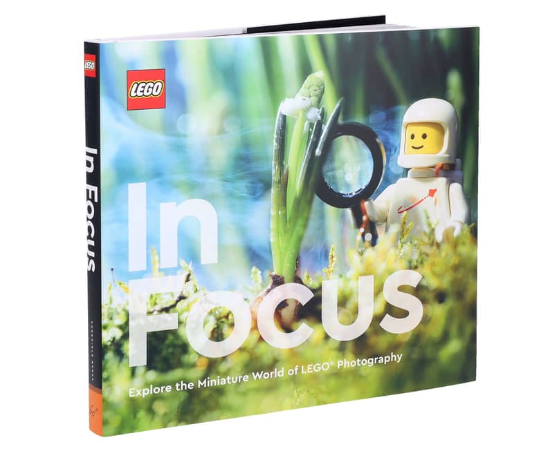 In Focus (5007642)