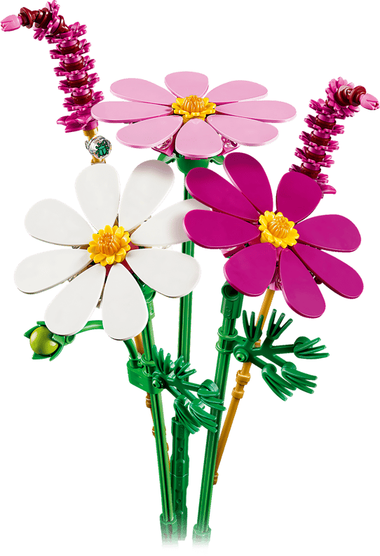 Stolt kavaler-blomster (11514)